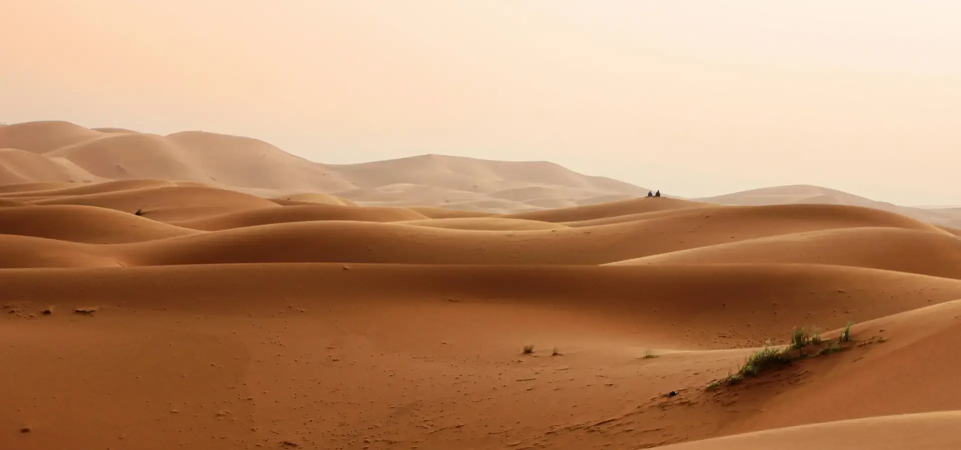 Tailored Strategies for Every Stage